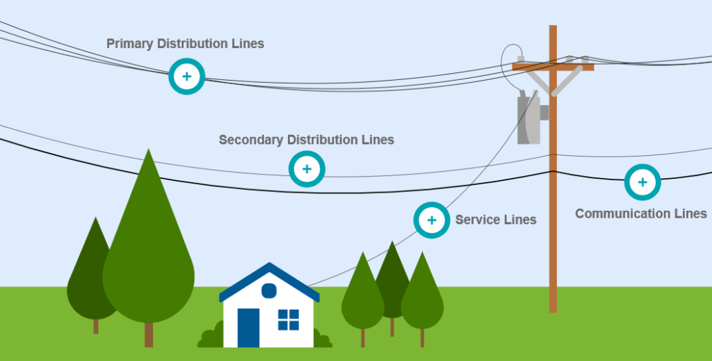 Forestry Line Maintenance