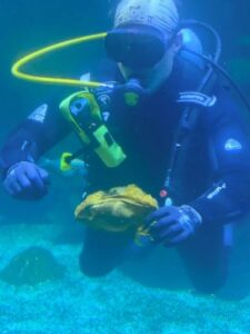A photo of Douglas collecting zebra shark eggs at the Aquarium.