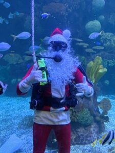A photo of Douglas diving in a Santa costume.