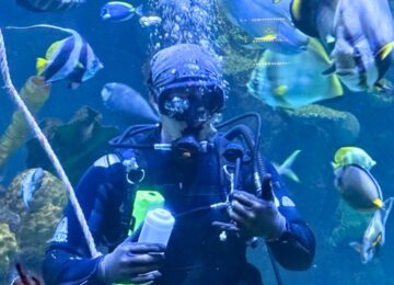 A pohoto of Dustyn Douglas diving at the Columbus Zoo and Aquarium