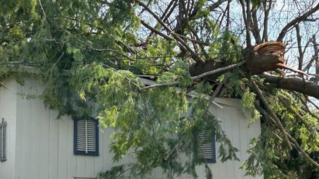 A photo of a tree that fell on a house.