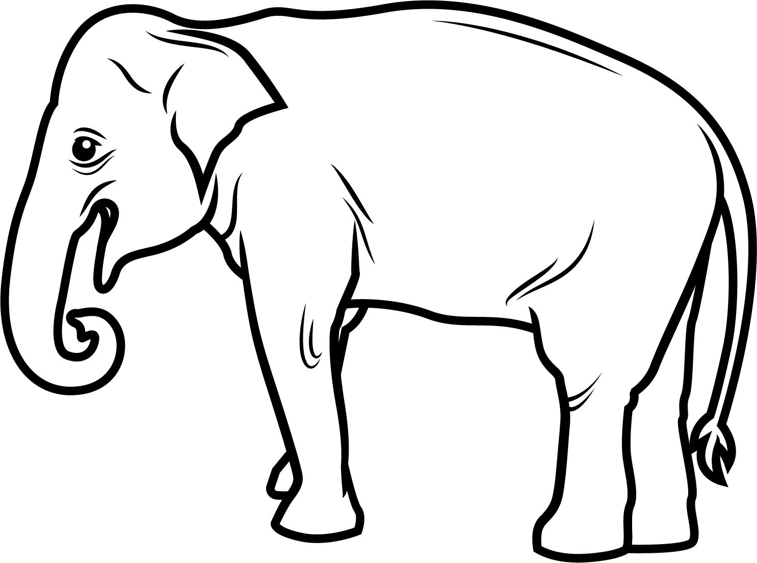 elephant
